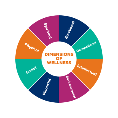 8 Wheel of Life Diagram Instagram Post